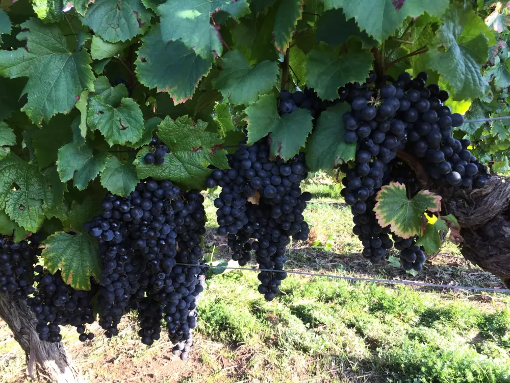 Les Bois de Prayssac 3 Sterne★★★