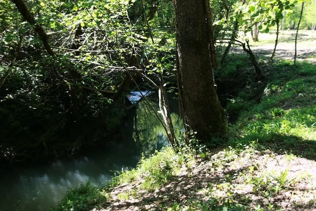 Domaine du Lac de Neguenu