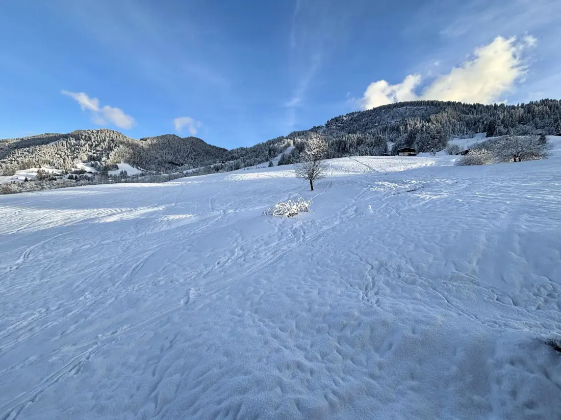 Residence Praz Les Pistes