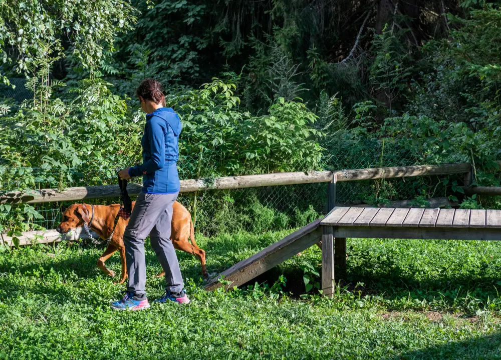 Fiems Dorf 3 Sterne★★★