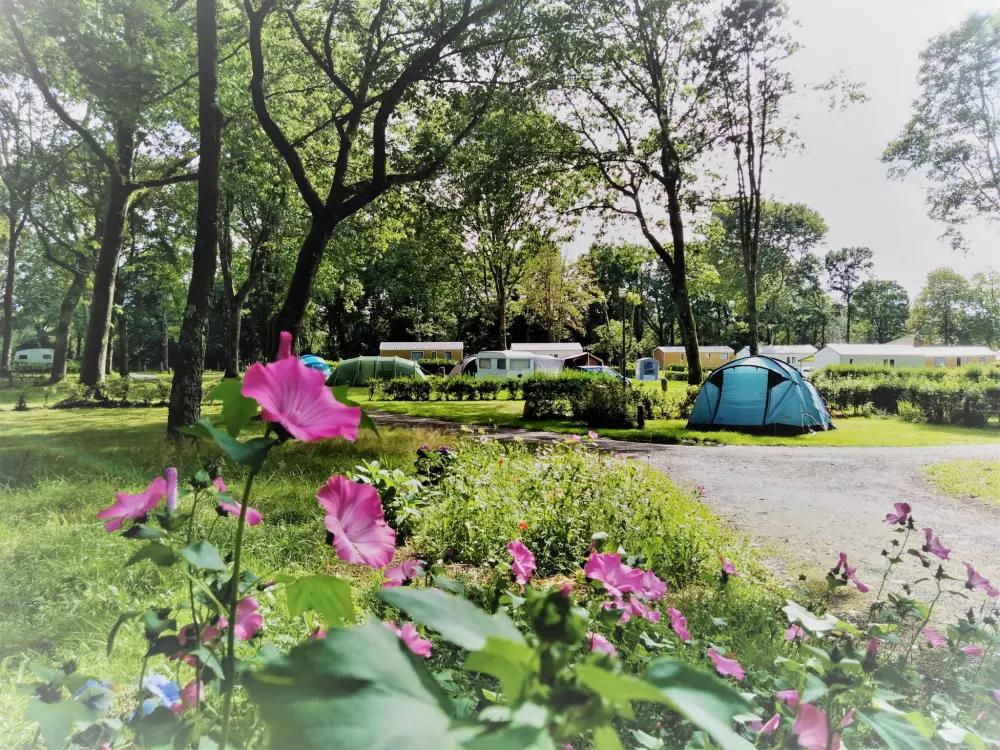 Kemping Ecologique le Lac O Fées 3 Csillagok★★★