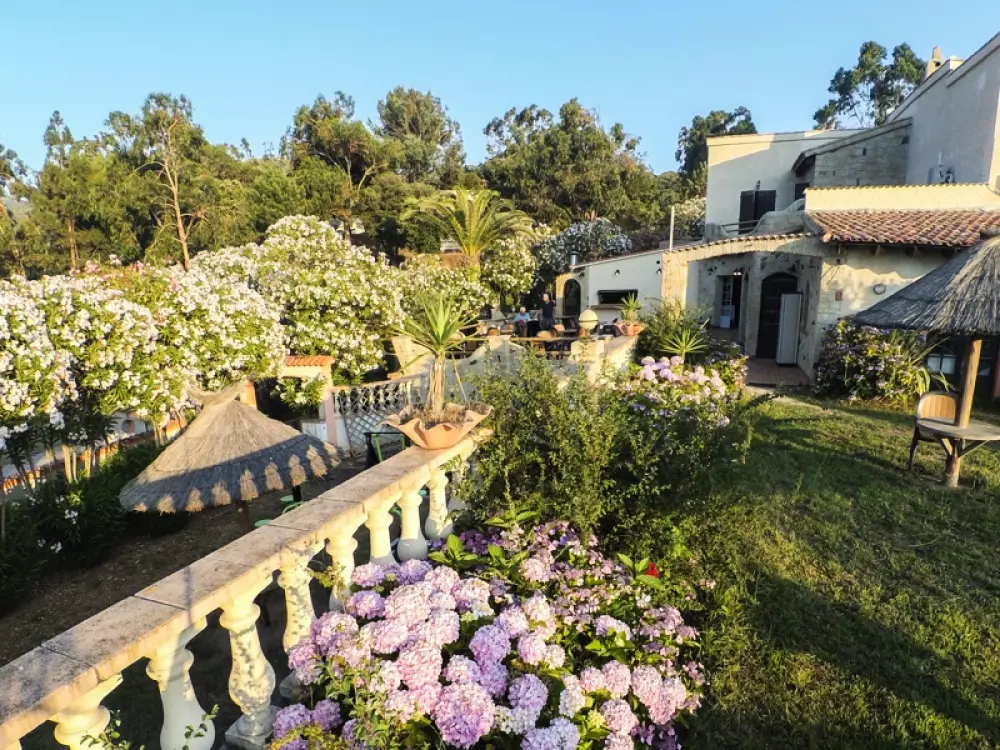 Camping Tikiti3 Sterren★★★