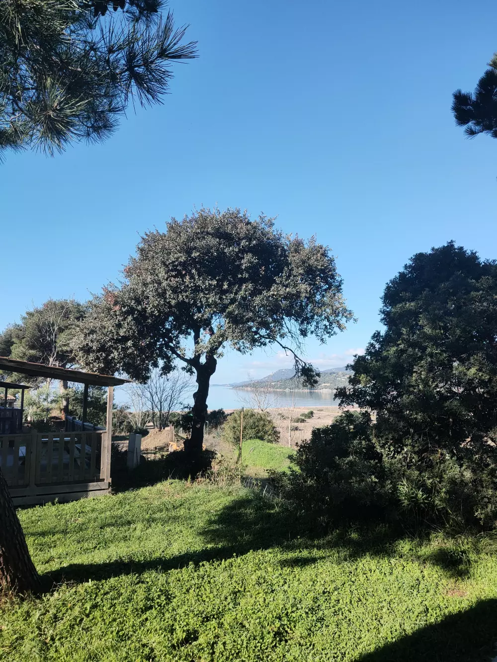 Camping Tikiti3 Sterren★★★