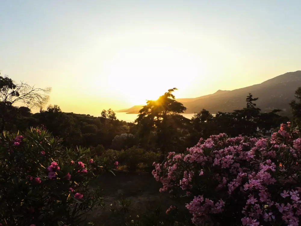 Camping Tikiti3 Sterren★★★