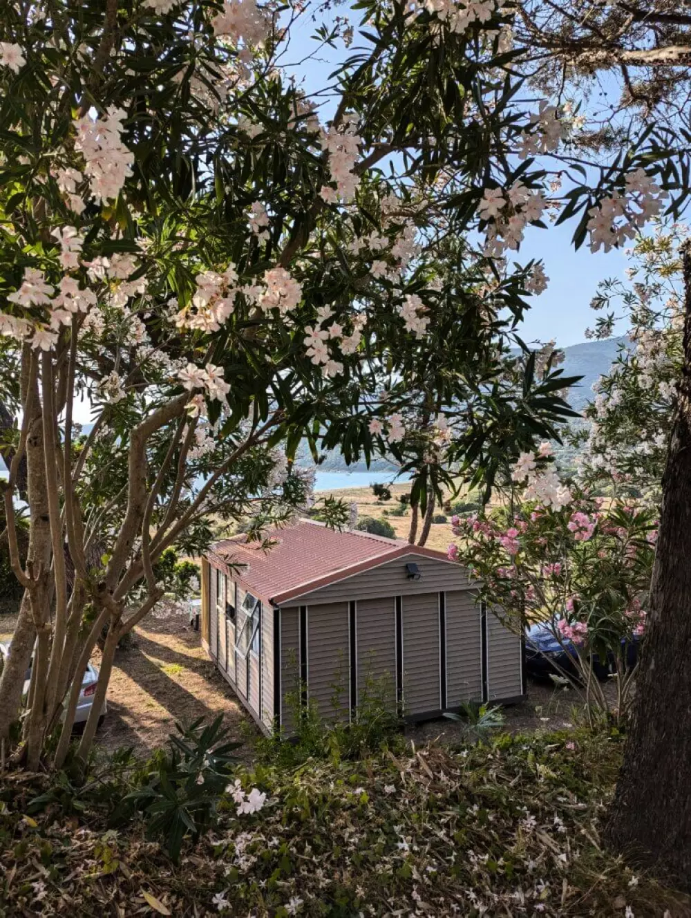 Camping Tikiti3 Sterren★★★