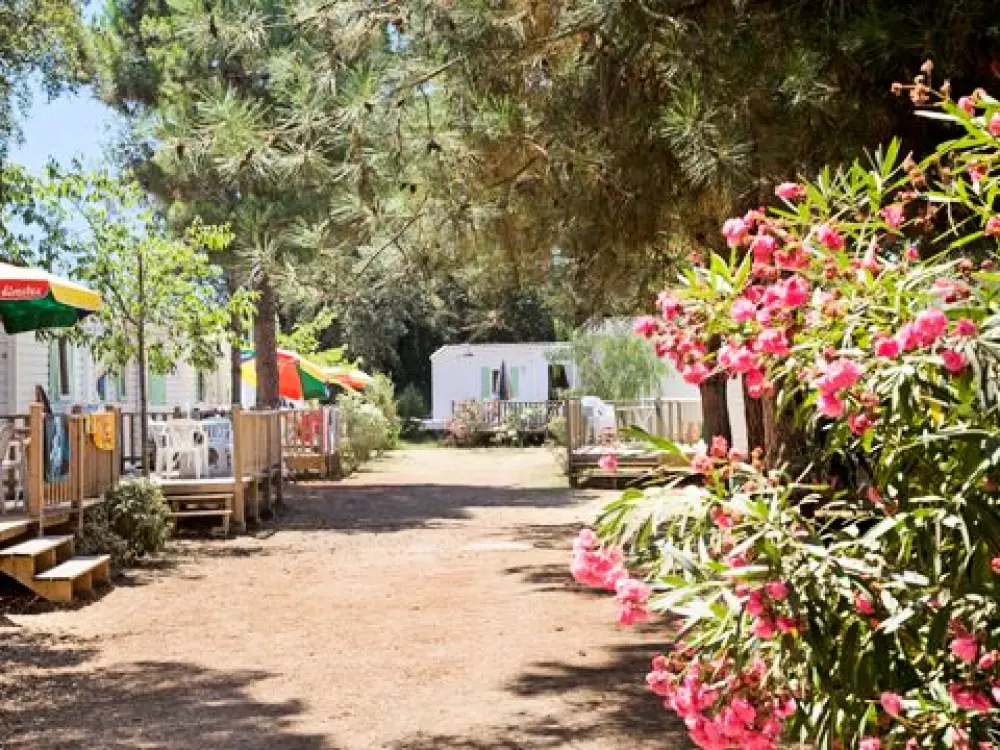 Campingplatz Via Romana 3 Sterne★★★
