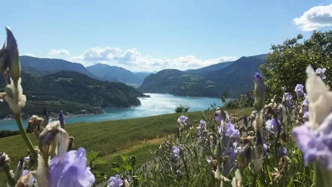 Campeggio Sunêlia La Presqu'île12 Stelle★★★★★★★★★★★★