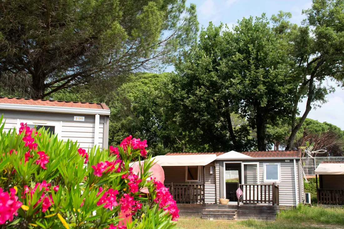 Camping Montana Parc Oasis Village - Coeur de l'Estérel 5 Gwiazdy★★★★★
