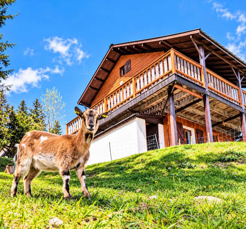 Csodálatos faház, kilátással a Mont Blanc-ra 3 Csillagok★★★
