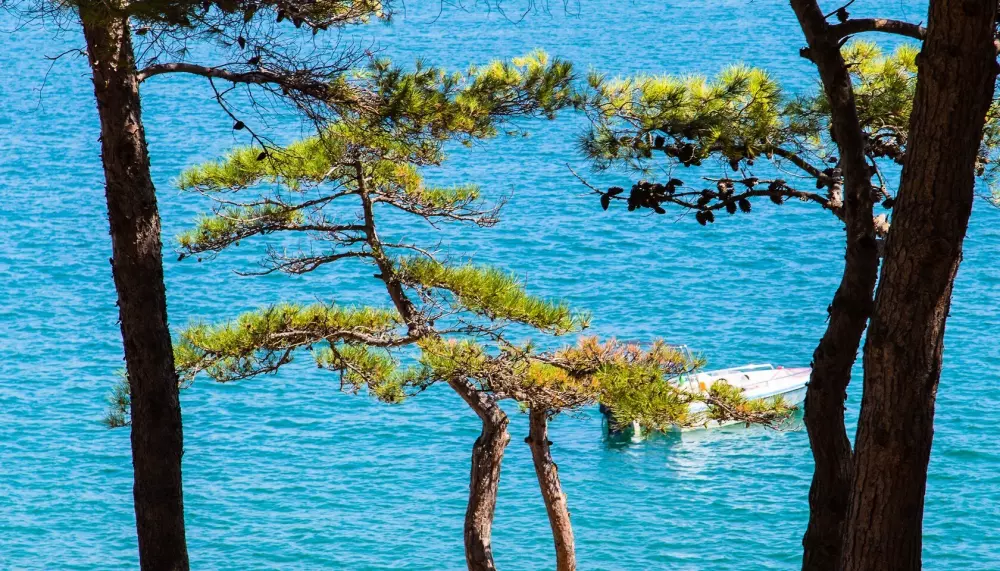 Camping Arena Runke 2 Sterne★★