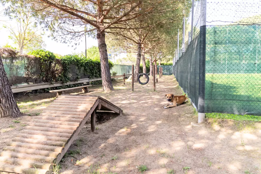 Club del Sole Marina Family Resort 3 Sterren★★★