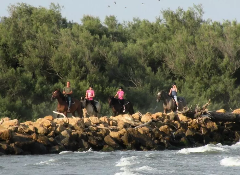 Club del Sole Marina Family Resort 3 Sterren★★★