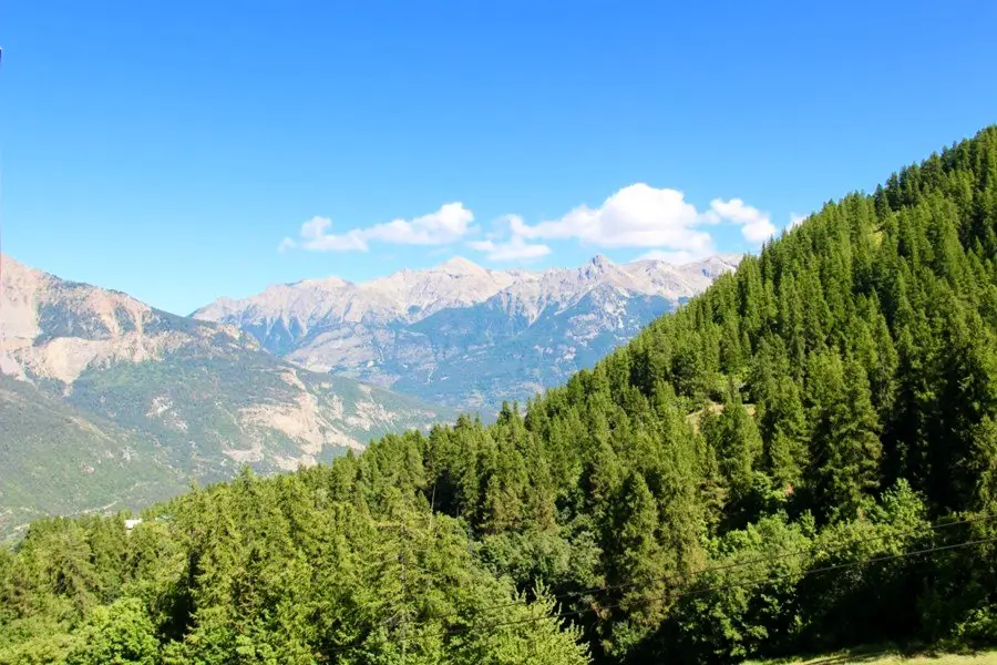 Residence Valgardena