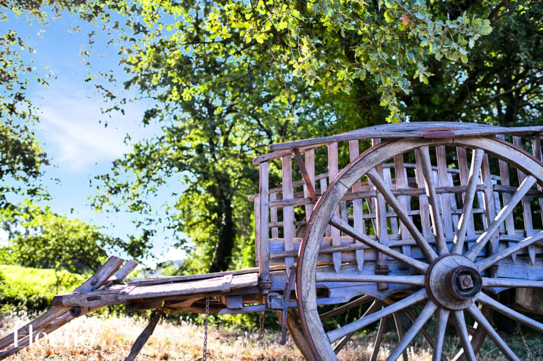 Great Bastide | Domaine Tour Campanets