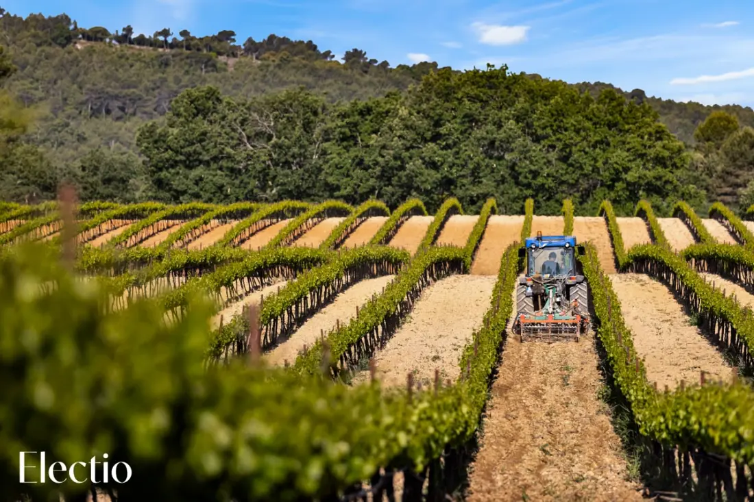 Great Bastide | Domaine Tour Campanets
