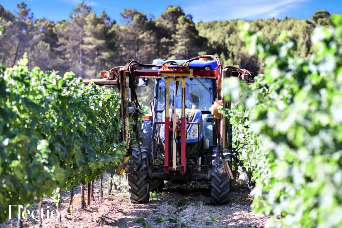 Great Bastide | Domaine Tour Campanets