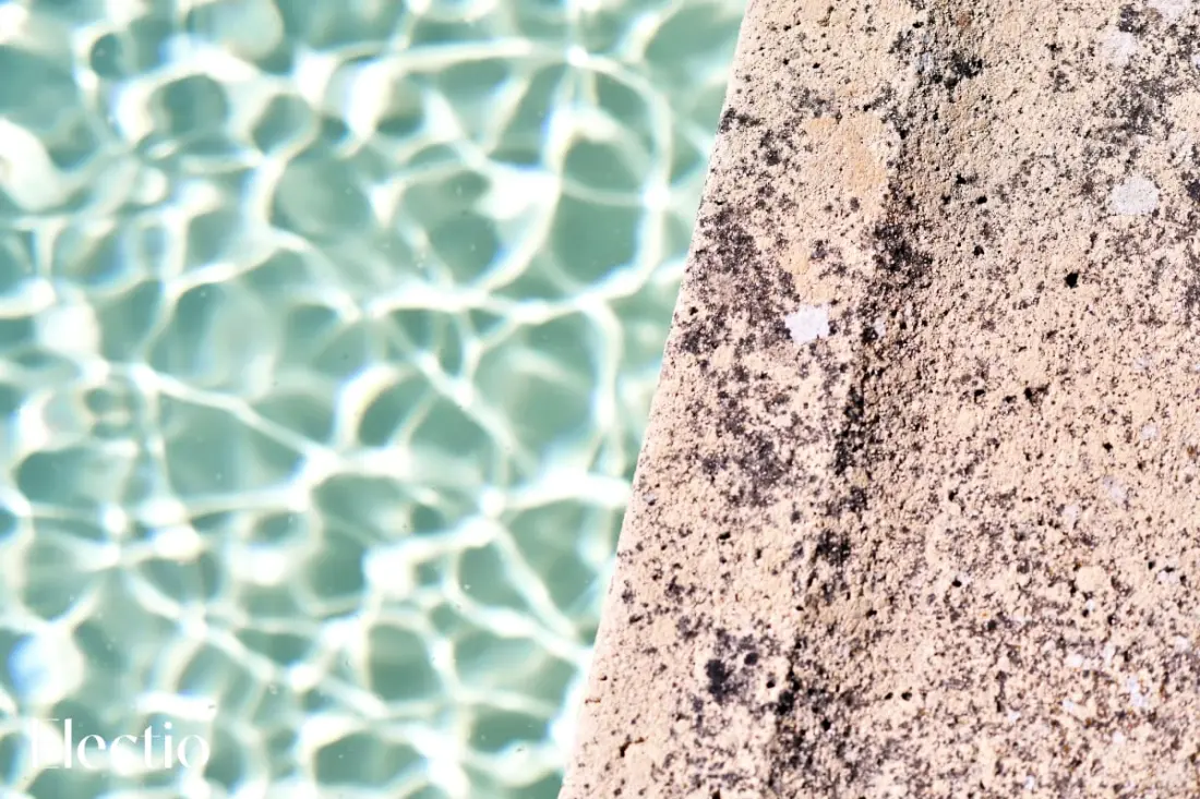 Great Bastide | Domaine Tour Campanets