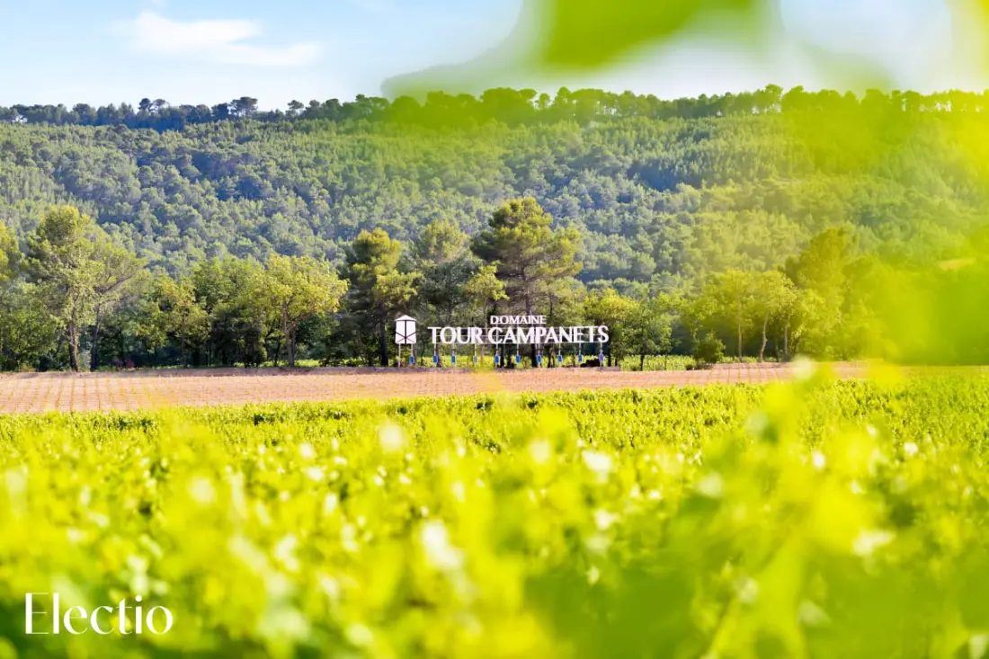 Great Bastide | Domaine Tour Campanets
