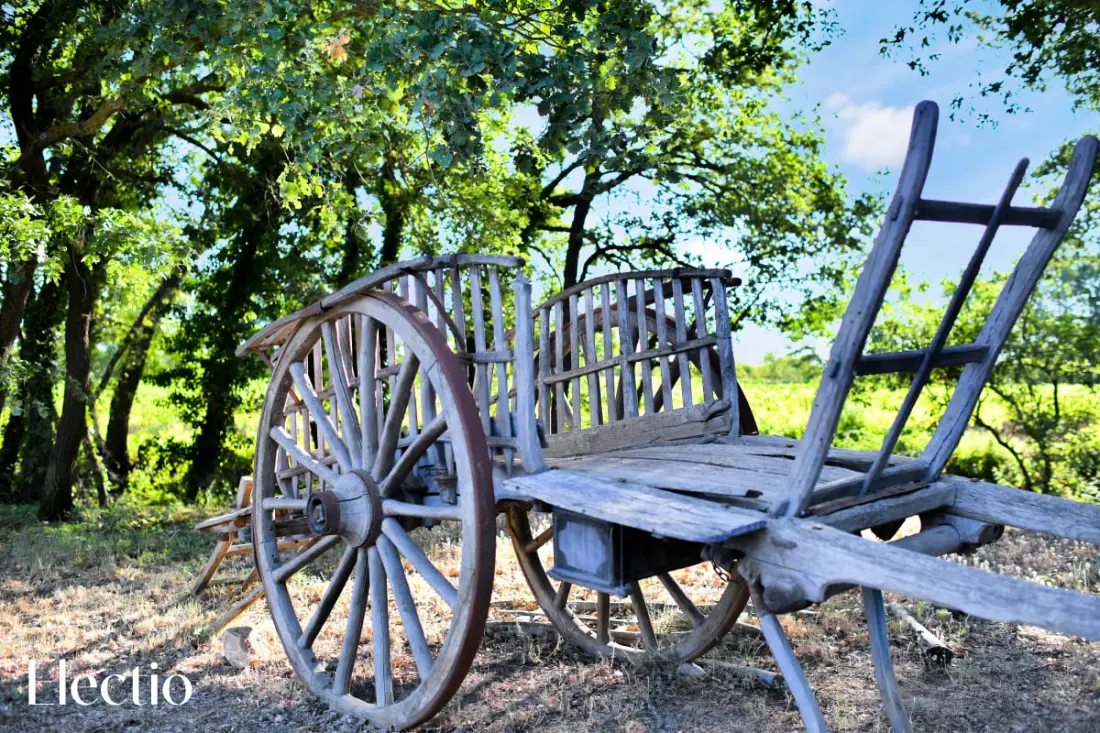 Kis Bastide | Domaine Tour Campanets