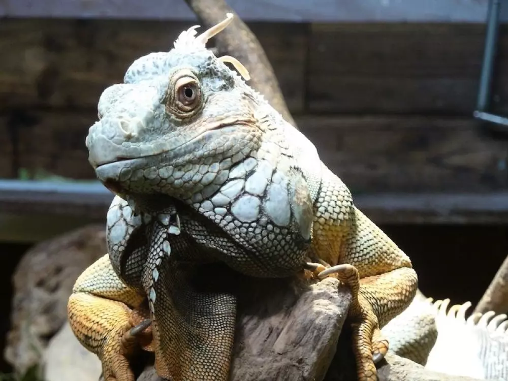 SOLE CAMPING 3 Sterne★★★