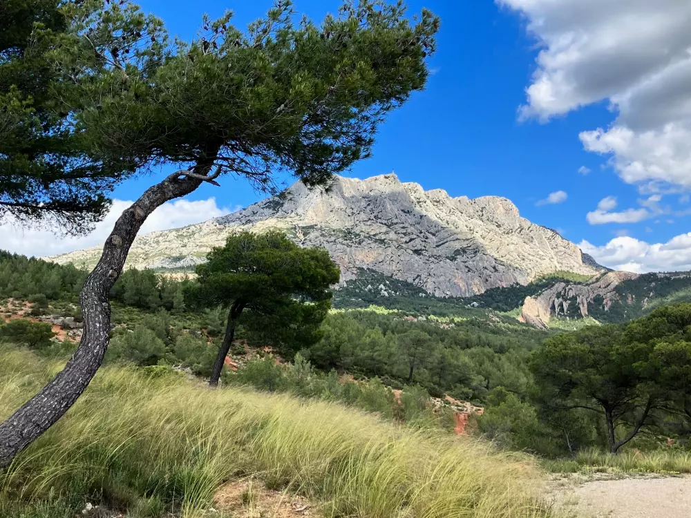 Camping le Cézanne Montagne Sainte-Victoire