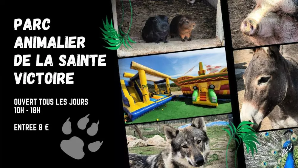 Camping le Cézanne Montagne Sainte-Victoire