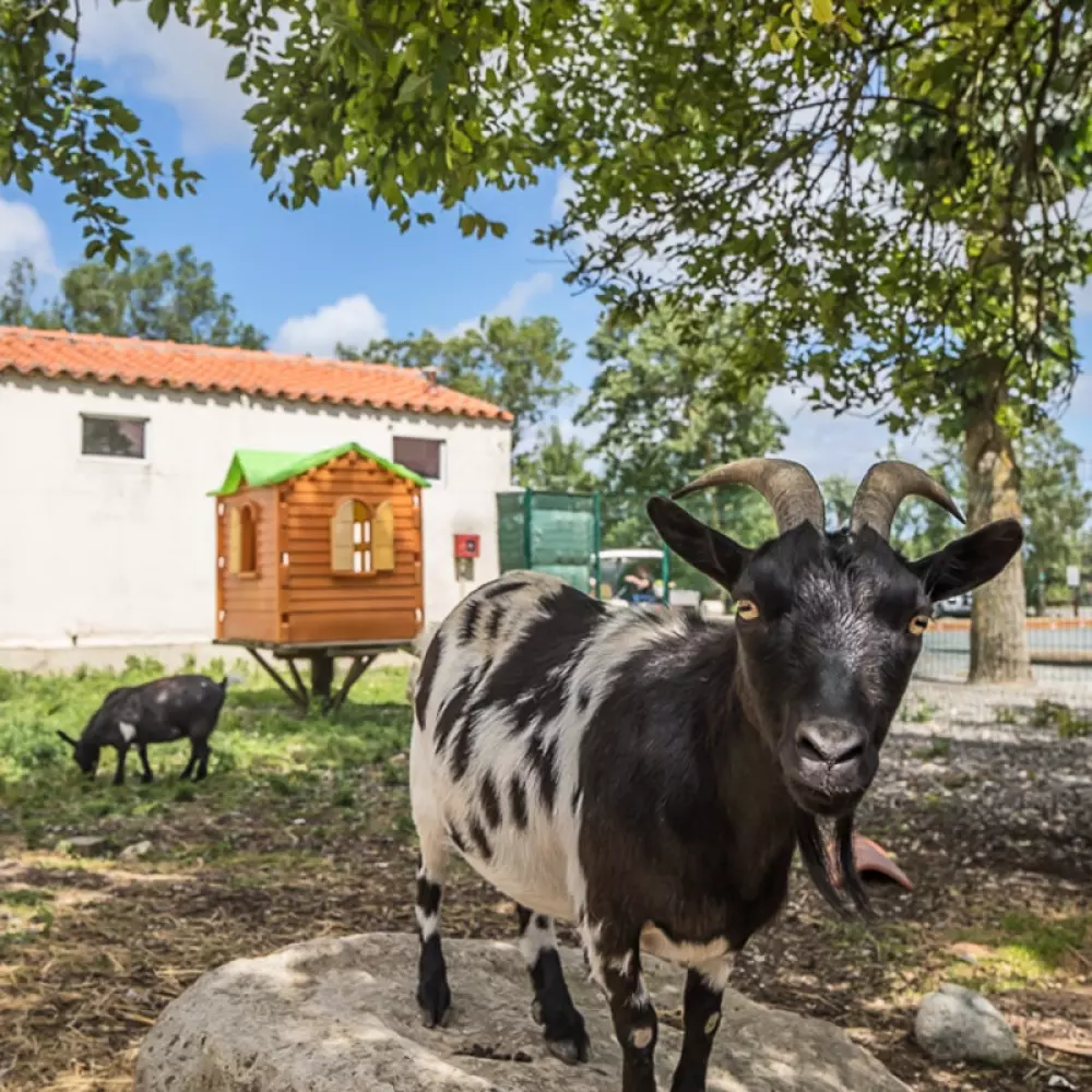 Camping le Merval 3 étoiles★★★