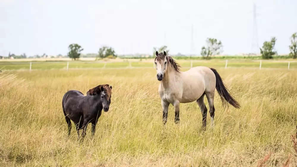 Camping le Merval 3 étoiles★★★