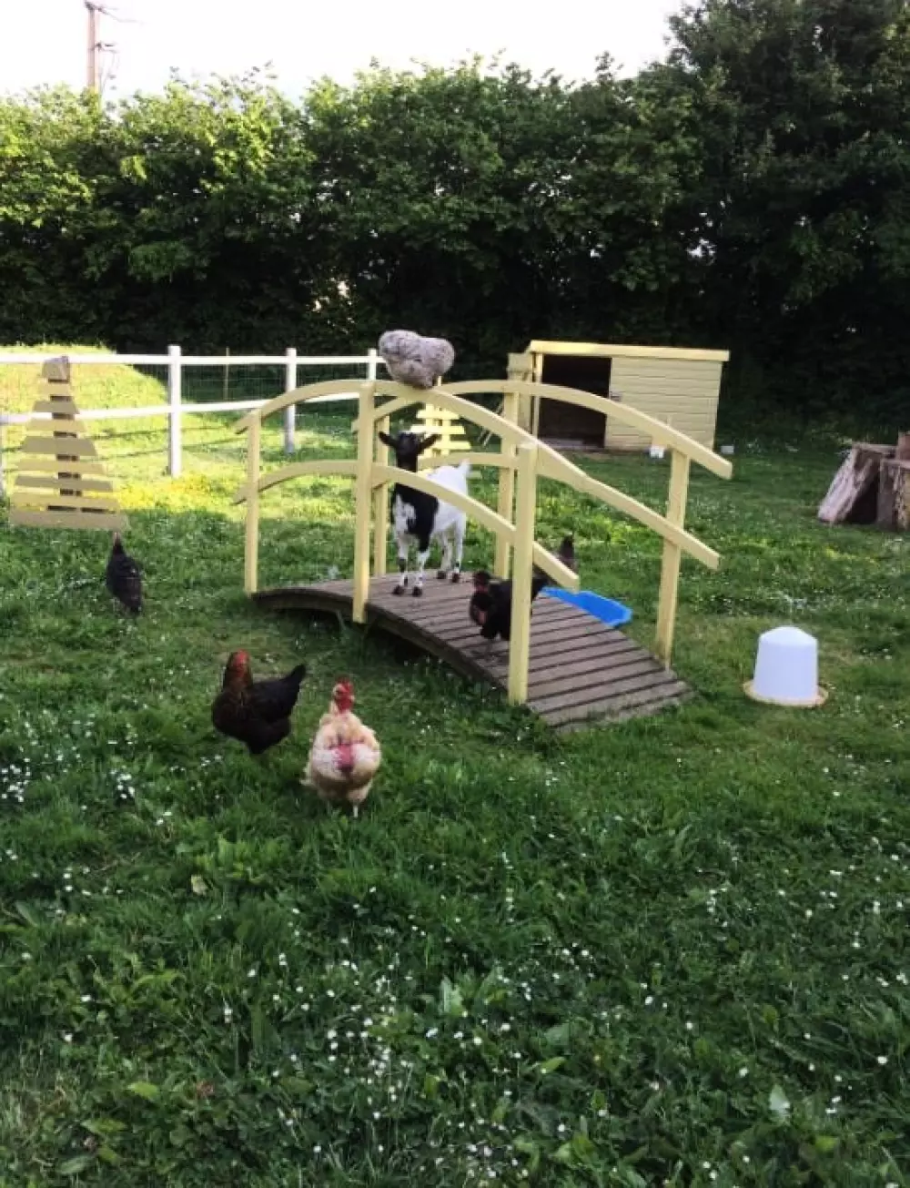 Camping Le Rivage 4 Sterren★★★★