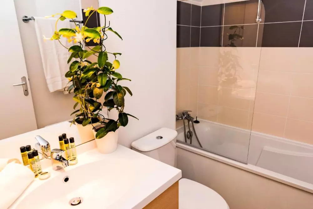 Residencia Lagrange Le Domaine de Val Queven3 Estrellas★★★