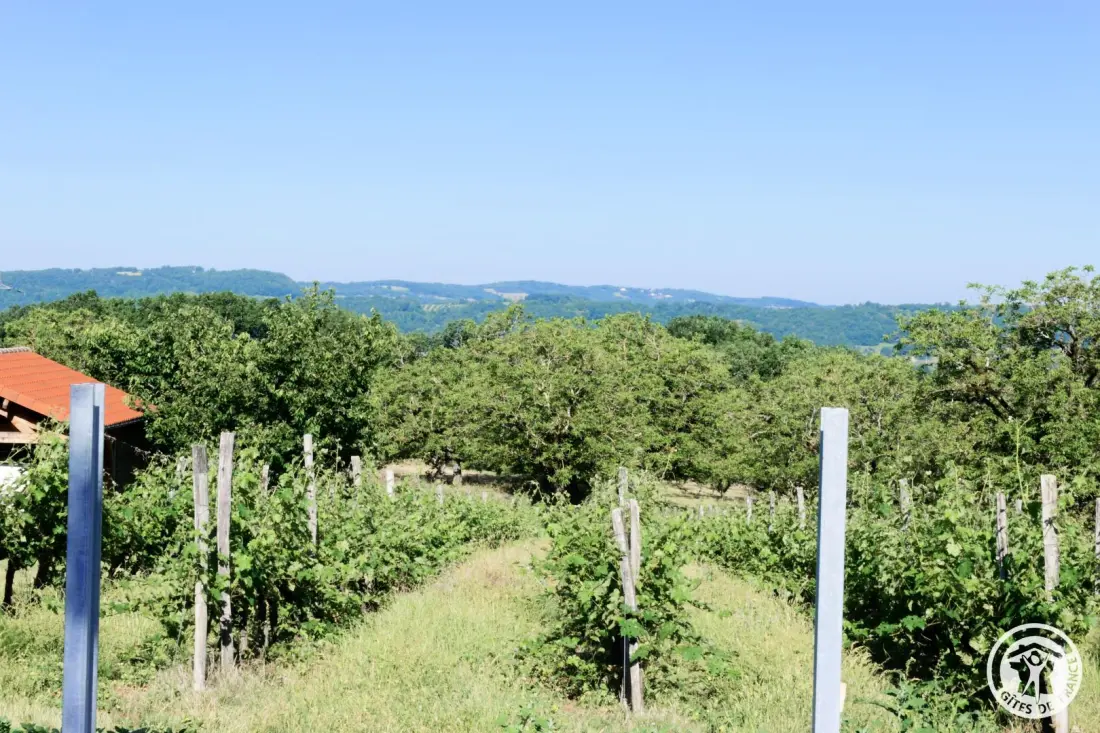 Gîte de France Belleviste 3 oren