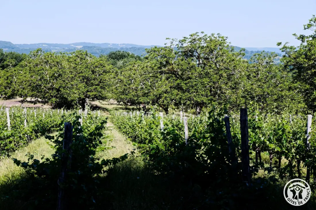Gîte de France Belleviste 3 oren