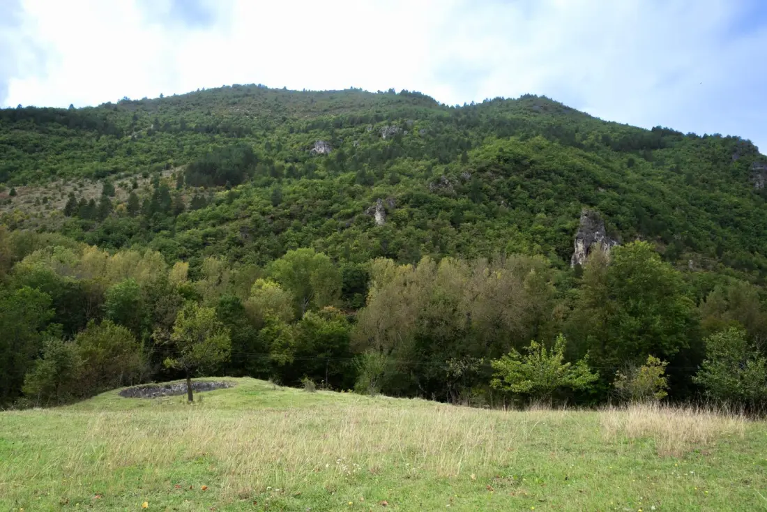 Gîte de France Gîte de pratpanoul 3 Ohren 4/6 pers zu quezac 3 Ohren