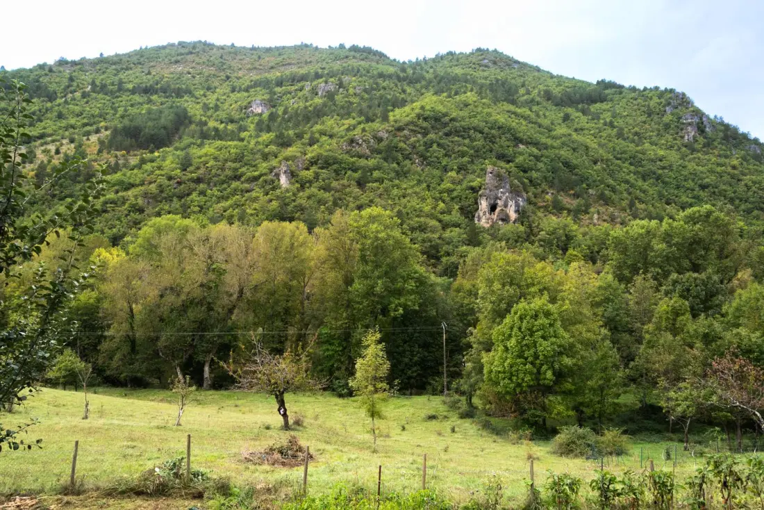 Gîte de France Gîte de pratpanoul 3 Ohren 4/6 pers zu quezac 3 Ohren