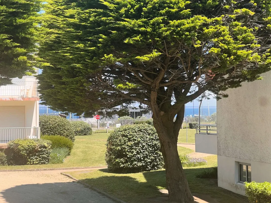 Residence Adal D’arvor