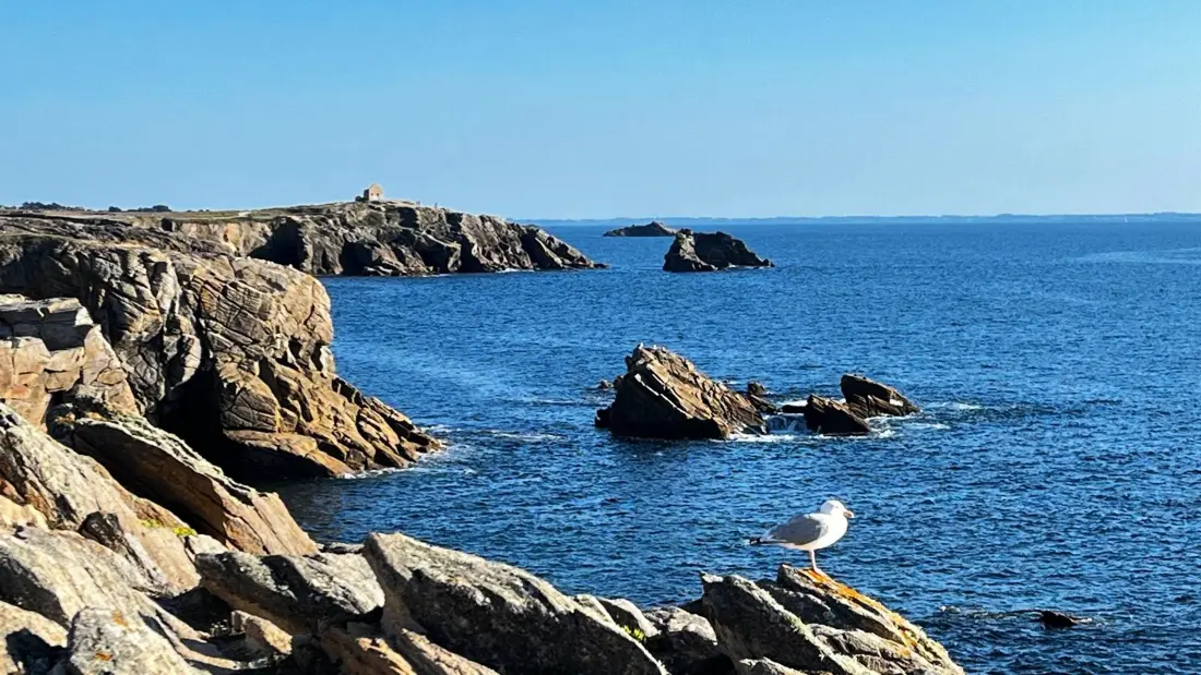 Residence Parc Bois D'amour