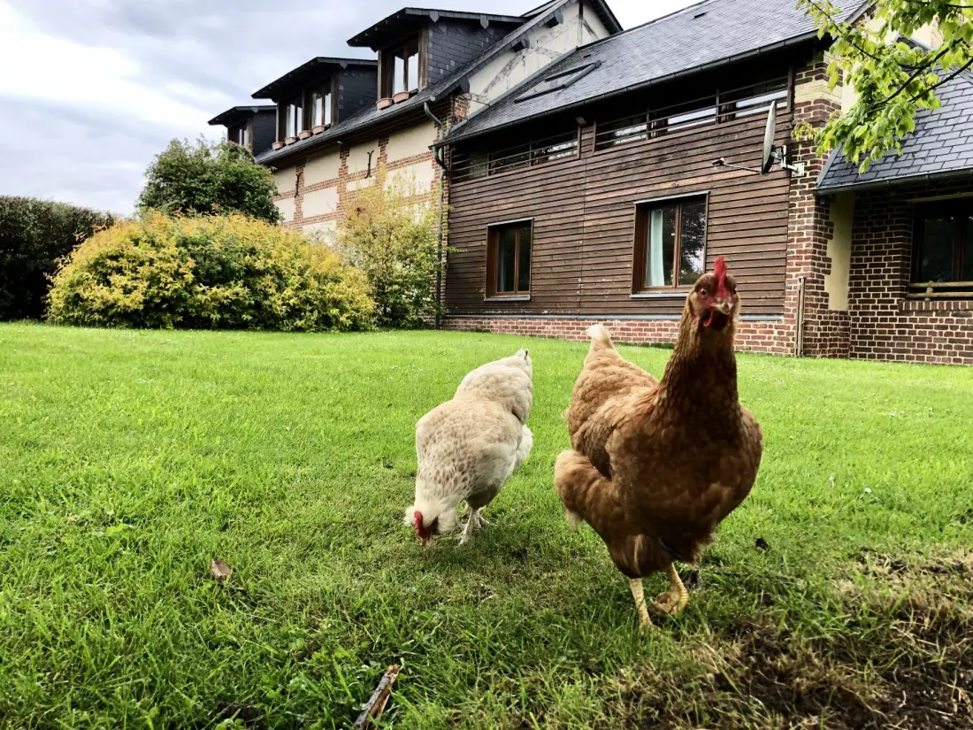 Gîte de France Gîtes de france® - a régi 2 fül farmja