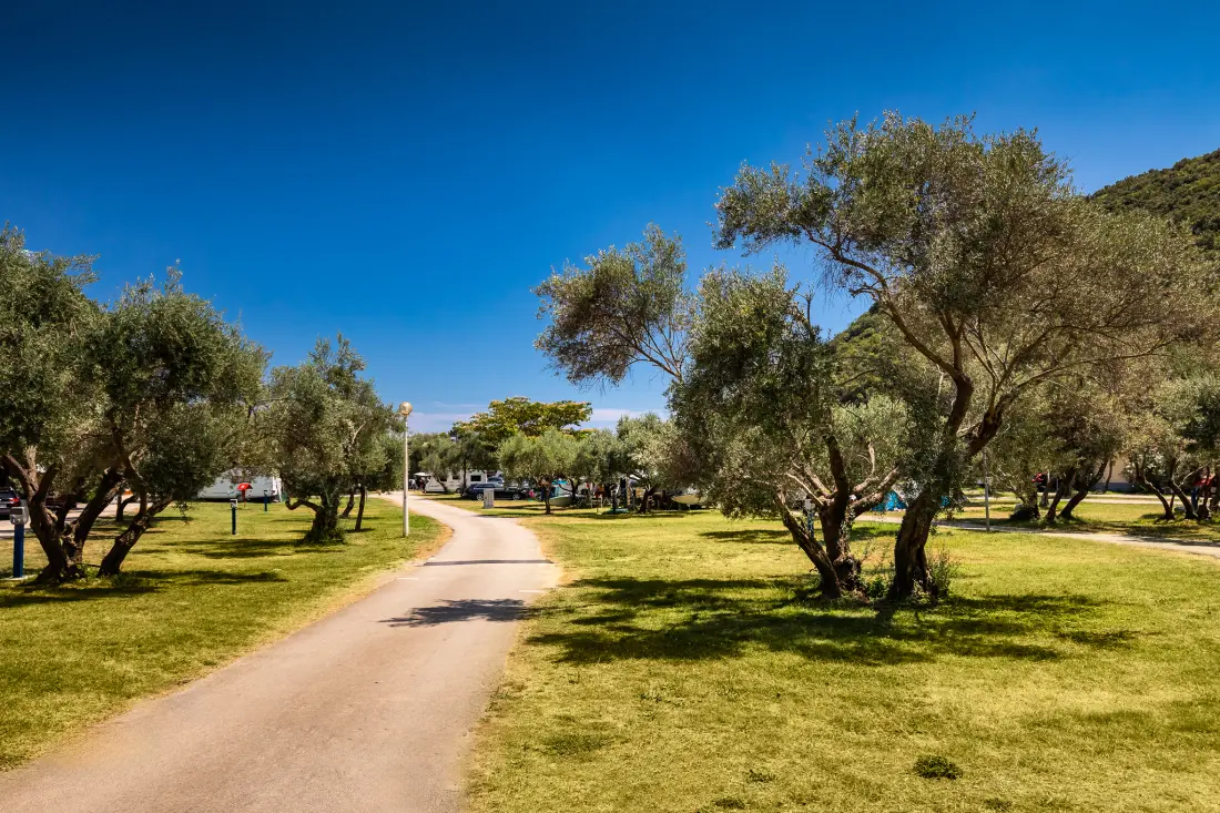 Campingplatz Oliva3 Sterne★★★