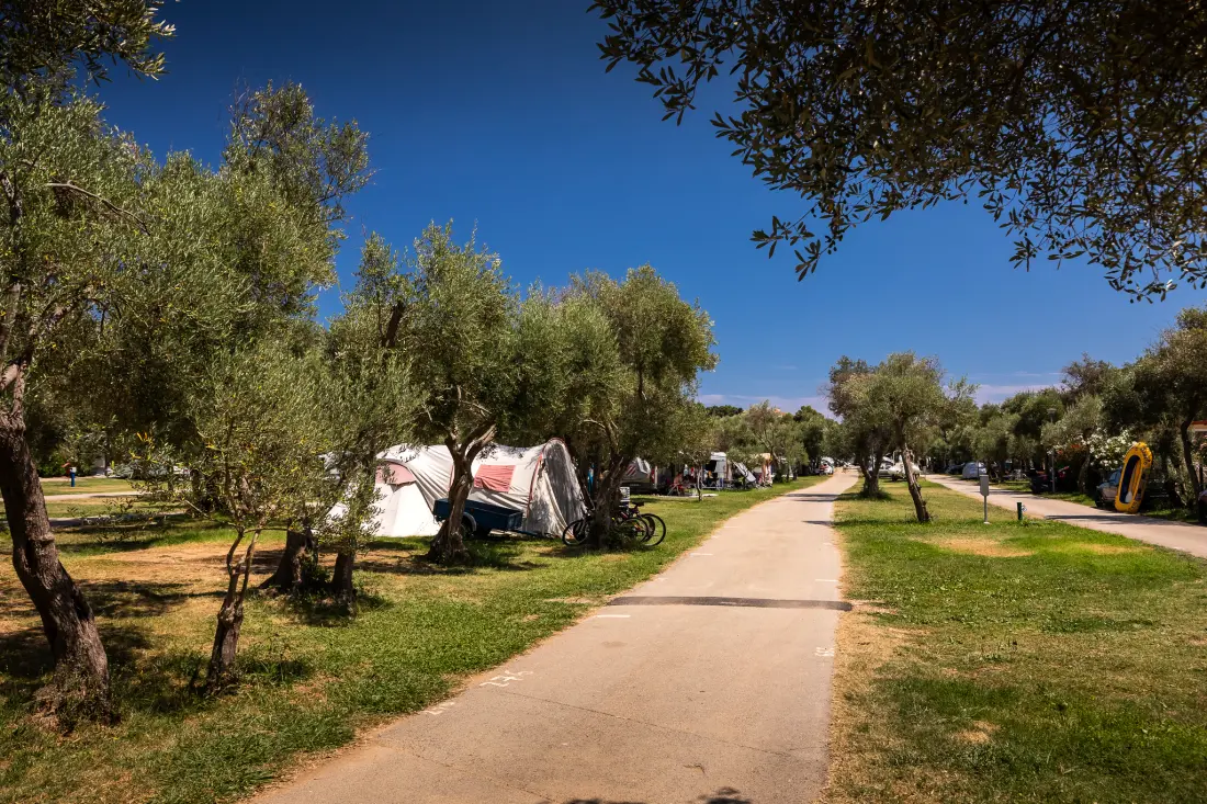 Campingplatz Oliva3 Sterne★★★