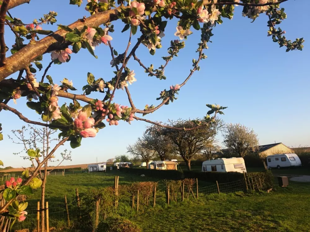 Camping la Dolce Vita