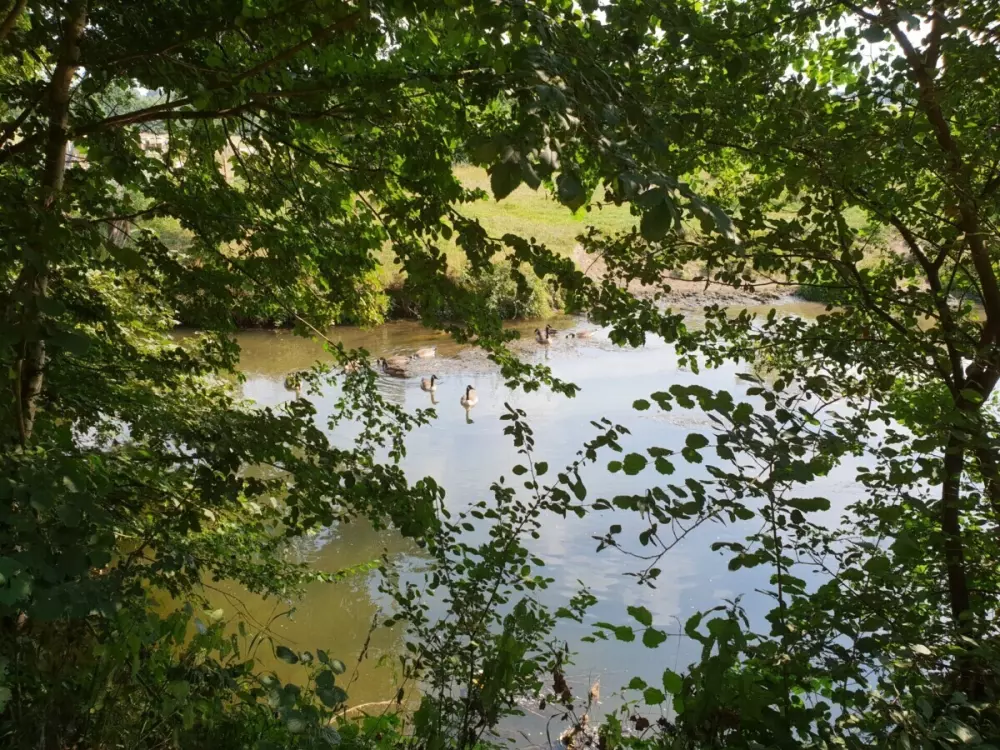 Camping la Dolce Vita