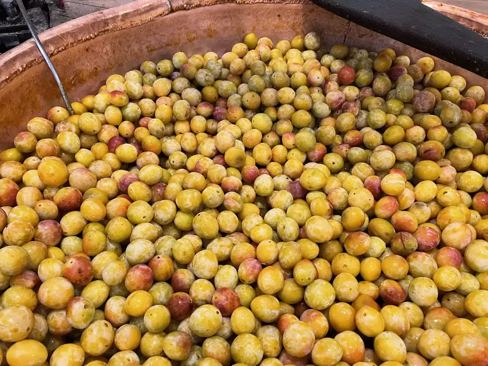 Vallée - Parcel Tiny House