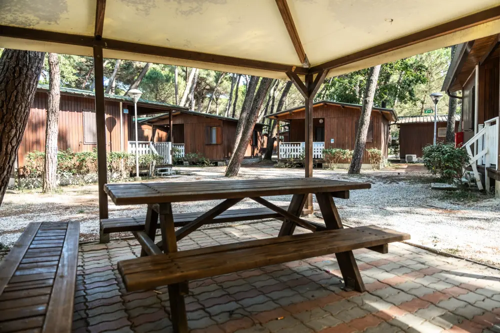 Club del Sole Marina Romea Easy Camping Village 3 Stars★★★