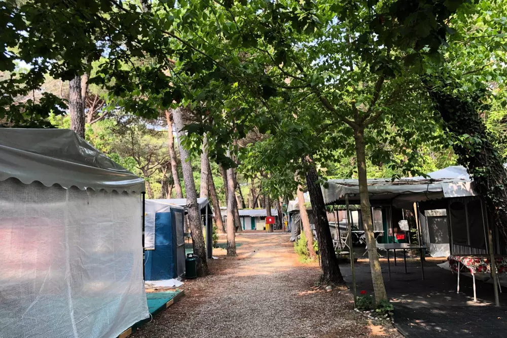 Club del Sole Marina Romea Easy Camping Village 3 Sterren★★★