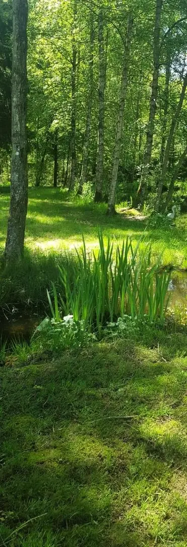 Gîte de France La Croix Majot 3 Ähren