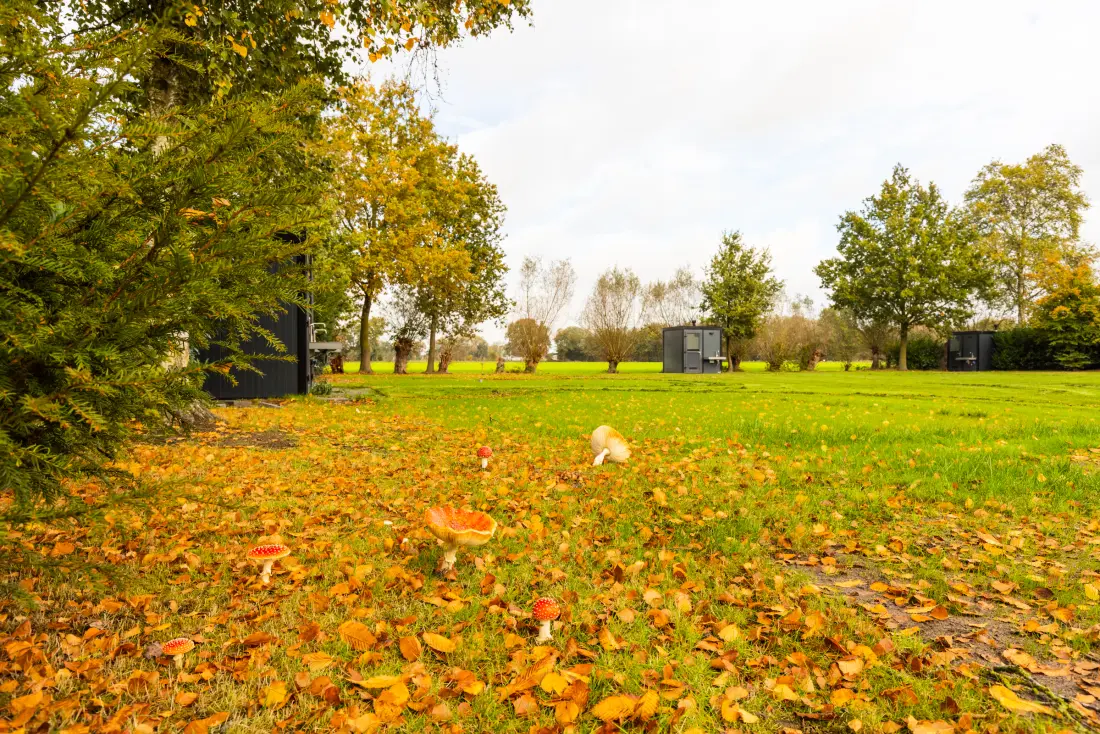 Camping De Leughte Resort Renswoude