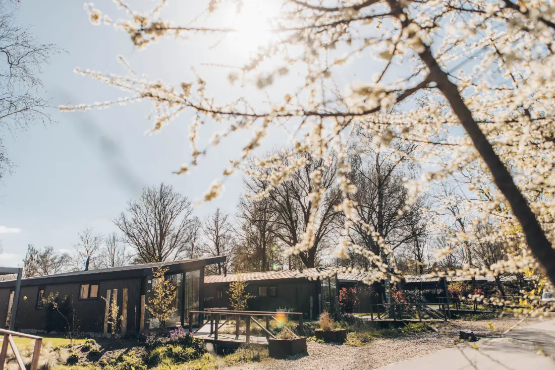 Camping De Leughte Resort Renswoude