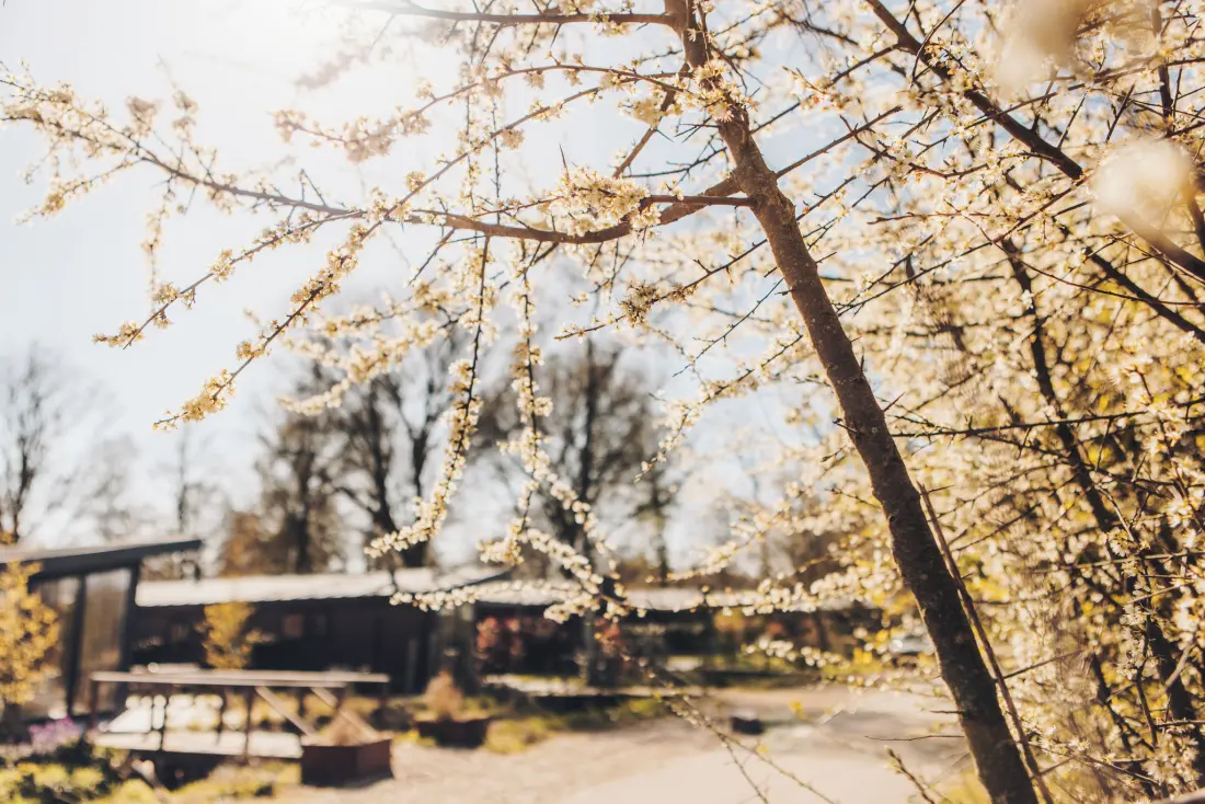 Camping De Leughte Resort Renswoude
