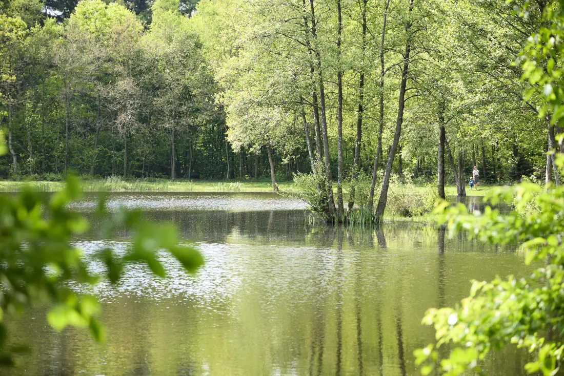 Camping 't Veld