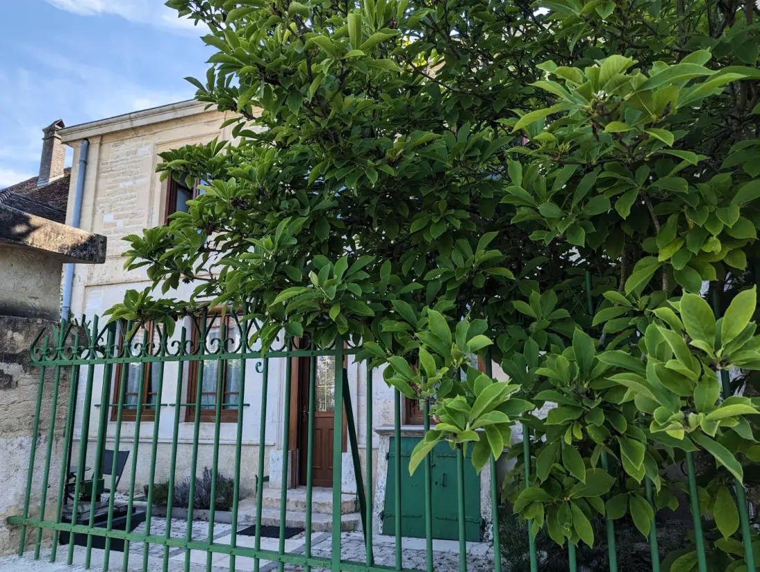 Gîte de France Die buschige Schule 4 Ohren